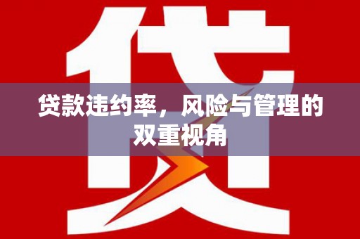 龙江贷款违约率，风险与管理的双重视角