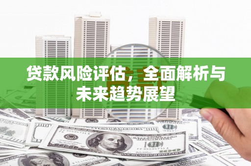 越西贷款风险评估，全面解析与未来趋势展望