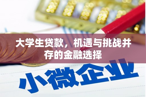 长寿大学生贷款，机遇与挑战并存的金融选择