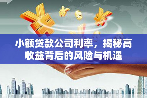 路北小额贷款公司利率，揭秘高收益背后的风险与机遇