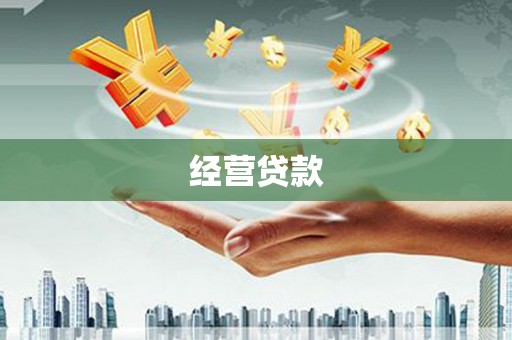 隆子经营贷款