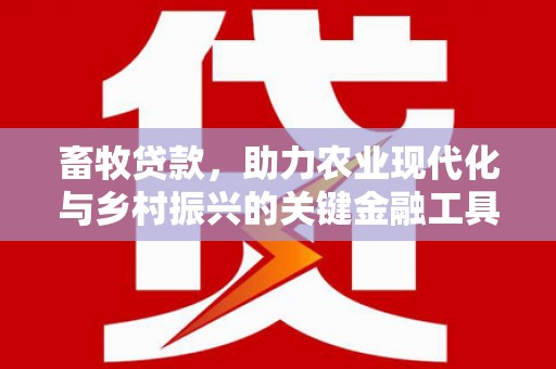 小港畜牧贷款，助力农业现代化与乡村振兴的关键金融工具