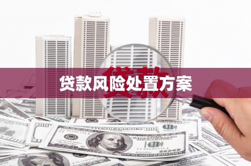 麻山贷款风险处置方案