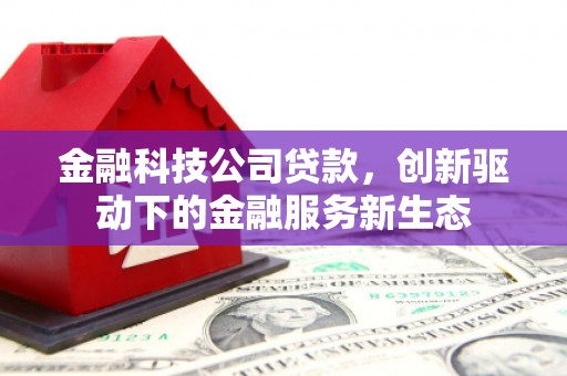 安乐金融科技公司贷款，创新驱动下的金融服务新生态