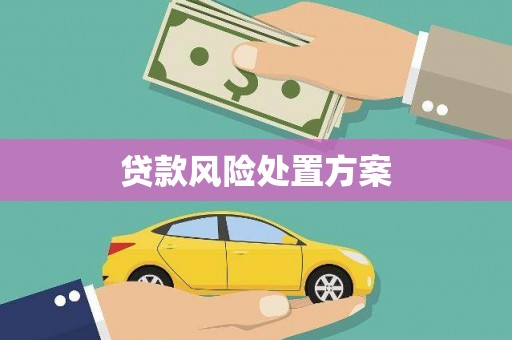 腾冲贷款风险处置方案