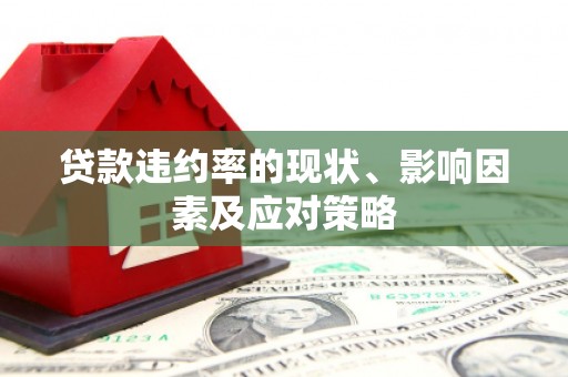 竹崎贷款违约率的现状、影响因素及应对策略