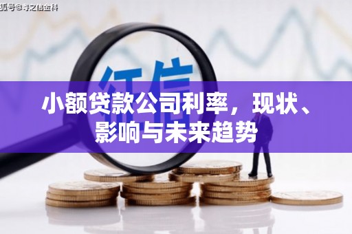 江阴小额贷款公司利率，现状、影响与未来趋势