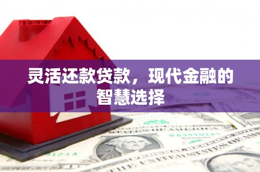 阳曲灵活还款贷款，现代金融的智慧选择
