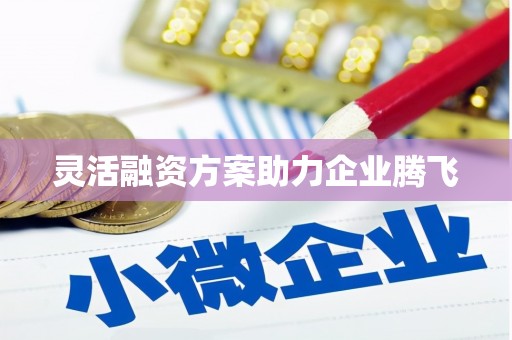 城厢灵活融资方案助力企业腾飞