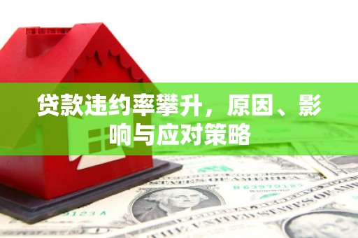 剑阁贷款违约率攀升，原因、影响与应对策略