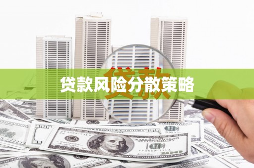 长安贷款风险分散策略