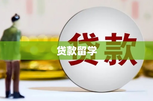 双湖贷款留学