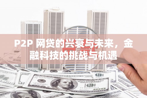 卓溪P2P 网贷的兴衰与未来，金融科技的挑战与机遇