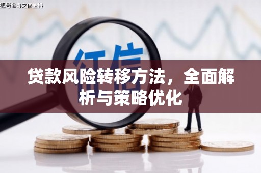隆安贷款风险转移方法，全面解析与策略优化