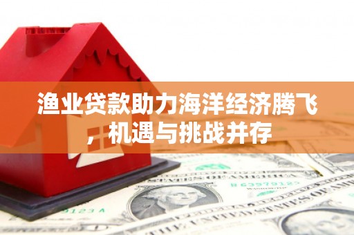 南安渔业贷款助力海洋经济腾飞，机遇与挑战并存