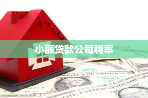绥阳小额贷款公司利率