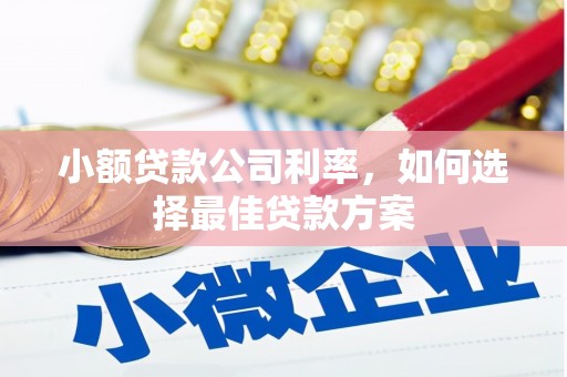 尚义小额贷款公司利率，如何选择最佳贷款方案
