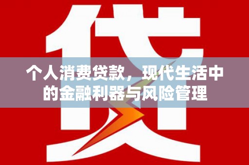 武隆个人消费贷款，现代生活中的金融利器与风险管理