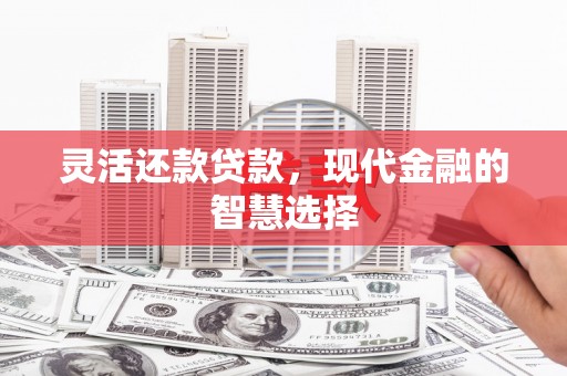 三水灵活还款贷款，现代金融的智慧选择