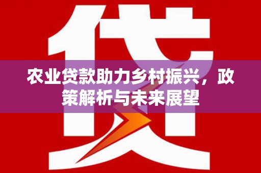 保税区农业贷款助力乡村振兴，政策解析与未来展望