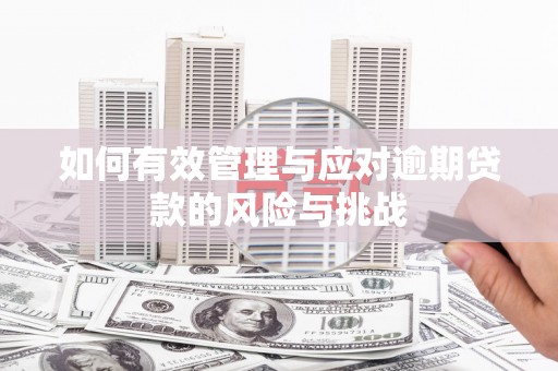 恒春如何有效管理与应对逾期贷款的风险与挑战
