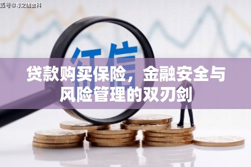 米脂贷款购买保险，金融安全与风险管理的双刃剑