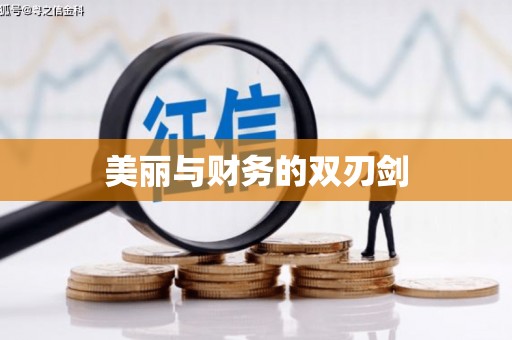 定海美丽与财务的双刃剑