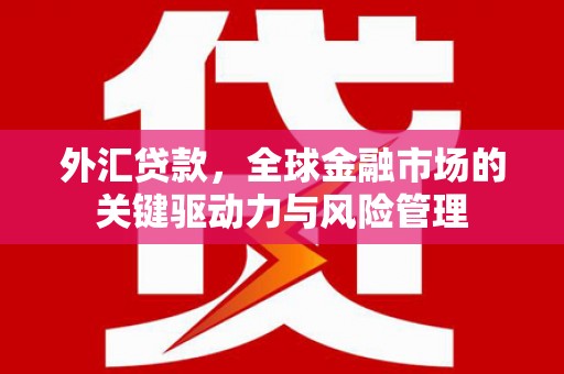 鹿草外汇贷款，全球金融市场的关键驱动力与风险管理