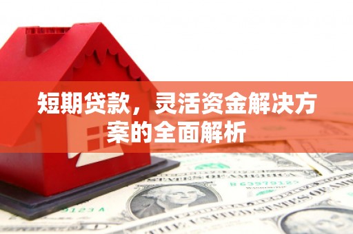 和林格尔短期贷款，灵活资金解决方案的全面解析