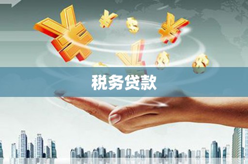 芎林税务贷款