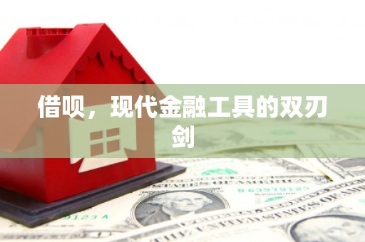 美兰借呗，现代金融工具的双刃剑