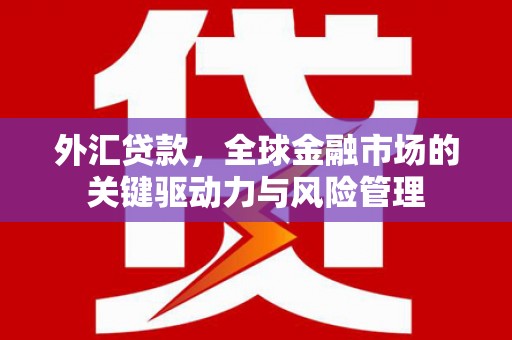 上林外汇贷款，全球金融市场的关键驱动力与风险管理