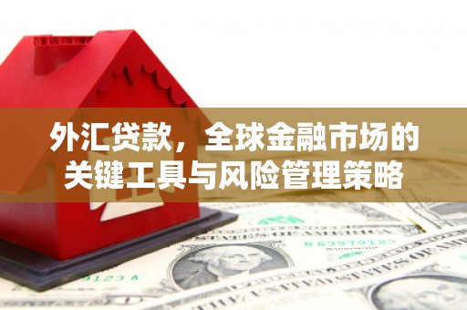 澎湖外汇贷款，全球金融市场的关键工具与风险管理策略