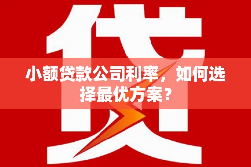 清远小额贷款公司利率，如何选择最优方案？