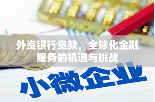 灌云外资银行贷款，全球化金融服务的机遇与挑战