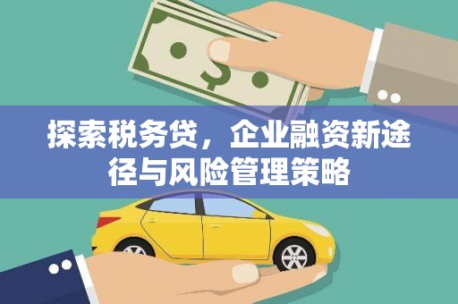 凉山探索税务贷，企业融资新途径与风险管理策略