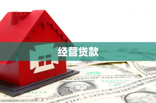 理县经营贷款