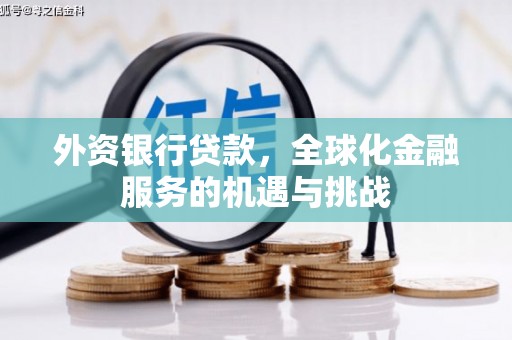 忠县外资银行贷款，全球化金融服务的机遇与挑战