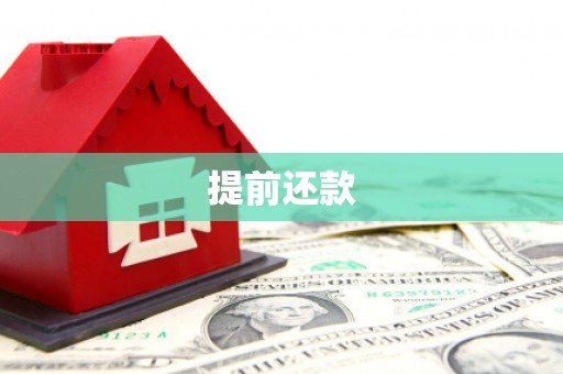 泸定提前还款