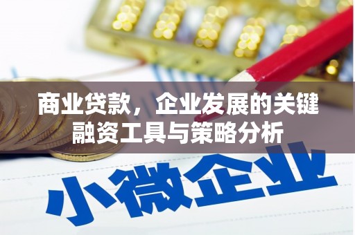林西商业贷款，企业发展的关键融资工具与策略分析