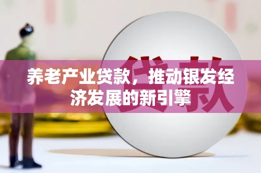 嘉黎养老产业贷款，推动银发经济发展的新引擎