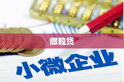 台西微粒贷