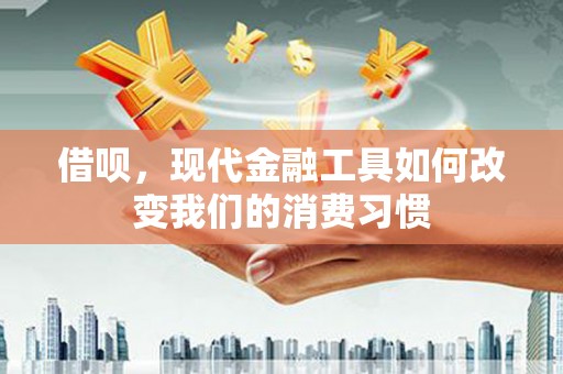 泸定借呗，现代金融工具如何改变我们的消费习惯