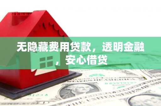 南岸无隐藏费用贷款，透明金融，安心借贷