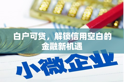 洛隆白户可贷，解锁信用空白的金融新机遇
