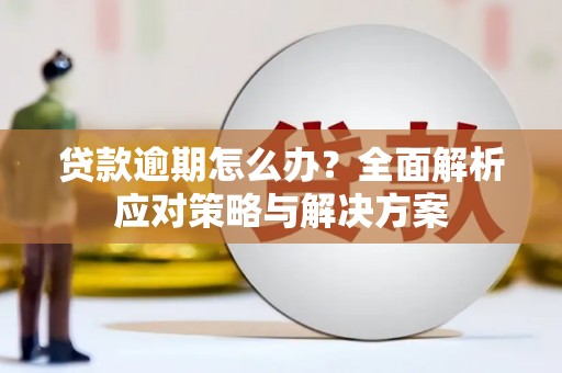 永平贷款逾期怎么办？全面解析应对策略与解决方案