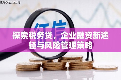 天河探索税务贷，企业融资新途径与风险管理策略