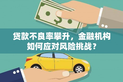 内湖贷款不良率攀升，金融机构如何应对风险挑战？