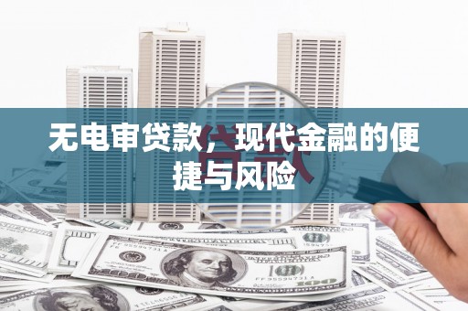 牡丹无电审贷款，现代金融的便捷与风险