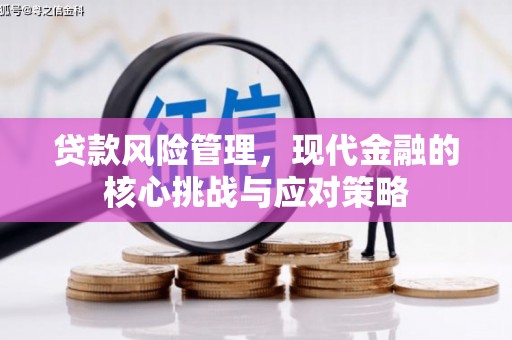 安龙贷款风险管理，现代金融的核心挑战与应对策略